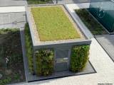 Beton trifft Grün: Begrünte Dächer und Fassaden
